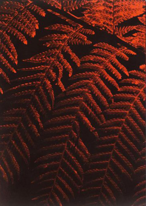 Julian Charrière - Controlled Burn