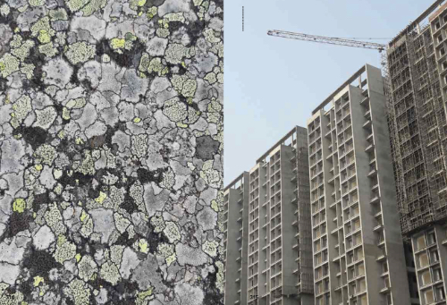 Bright Ecologies – Experiences, Forms, Materials, Andrea Caretto & Raffaella Spagna