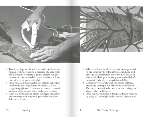 Abécédaire of Fringes