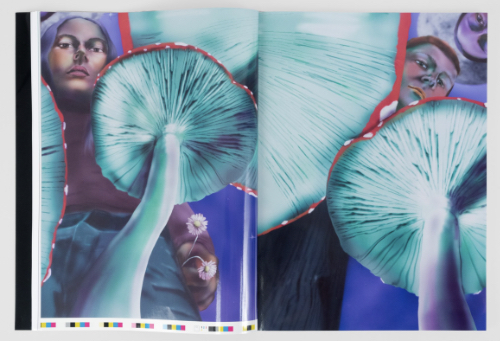 Louisa Gagliardi – Many Moons