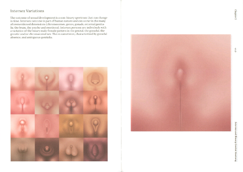 Henry de Vries, Kuang-Yi Ku - Atlas of Queer Anatomy