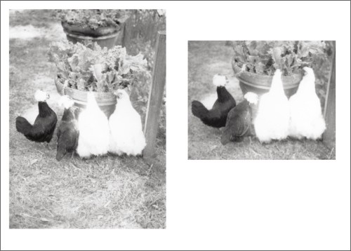 Jochen Lempert - Local Ecology - Moulin des Ribes