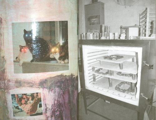 Thomas Mailaender - Les Belles Images