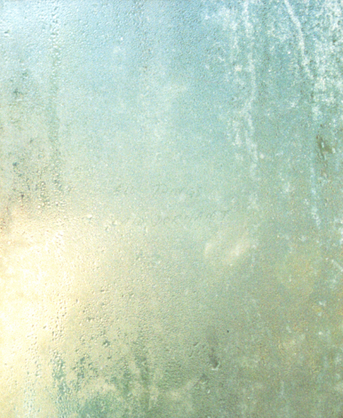 Benedetta Casagrande - All Things Laid Dormant