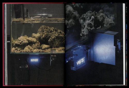 Wang Yuyang - Chaosmosis