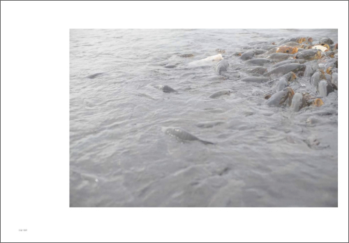 Inhabiting Light – Dialogue on the Edge of the Everyday World