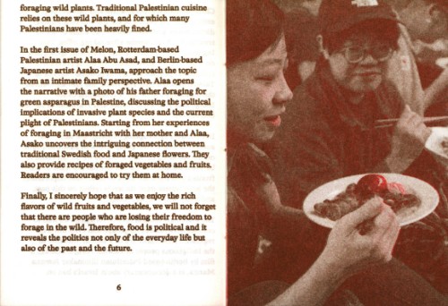 Melon 1: On Foraging in Palestine & Maastricht