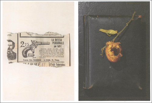 Klaus Pichler — Fear Guards the Lemon Grove