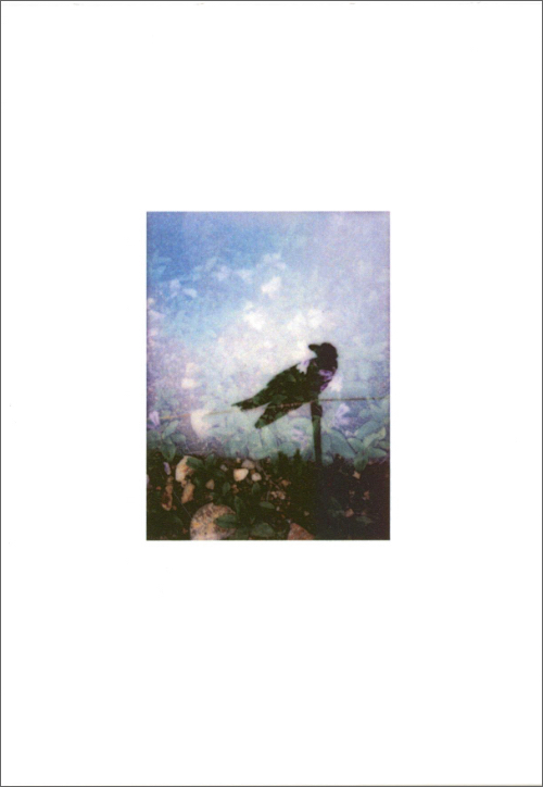 Sean Lotman & Tennbo Lotman – Puking Rainbows Past and Future