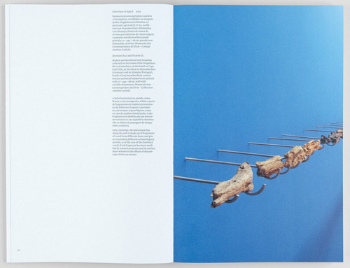 Gabriela Albergaria - Nature Abhors a Straight line